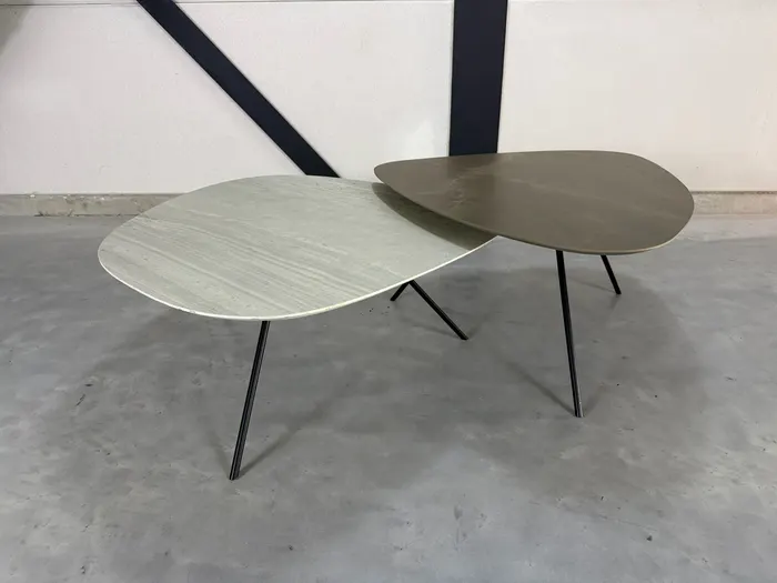 Leolux Liliom salontafels, set van 2
